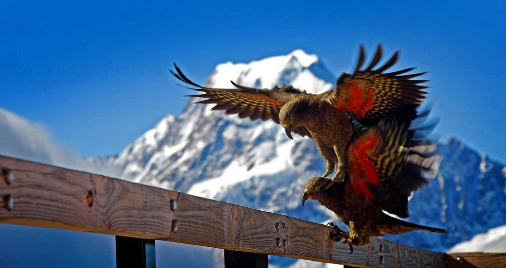 Hotel Glentanner Park Centre Aoraki / Mount Cook Zewnętrze zdjęcie